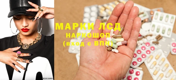 spice Новосибирск