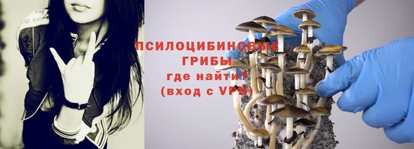 spice Новосибирск