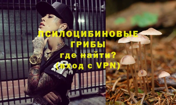 бошки Санкт-Петербург