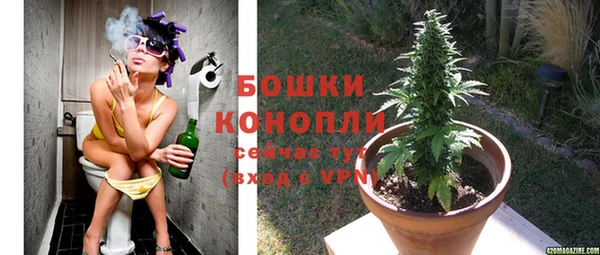spice Новосибирск
