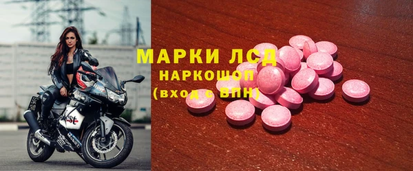 spice Новосибирск
