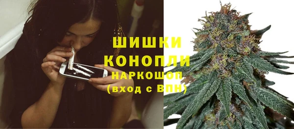 spice Новосибирск