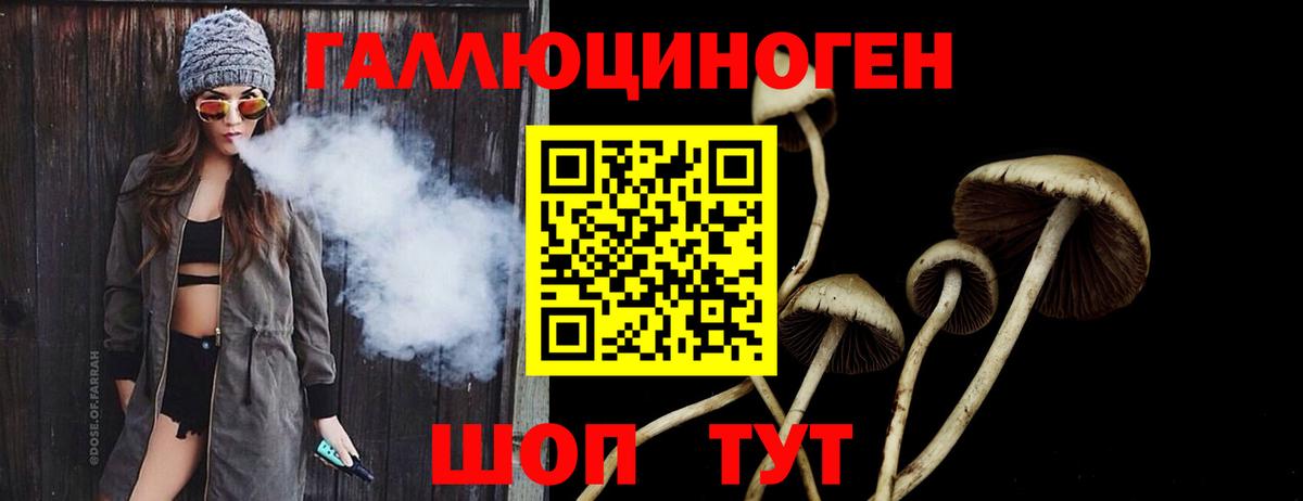 Псилоцибиновые грибы Magic Shrooms Абакан